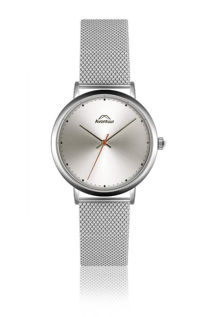 Vyriškas laikrodis Avontuur 10E1-S18 kaina ir informacija | Vyriški laikrodžiai | pigu.lt