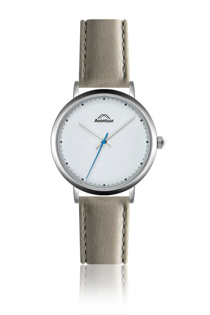Vyriškas laikrodis Avontuur 10E3-MG18 цена и информация | Vyriški laikrodžiai | pigu.lt