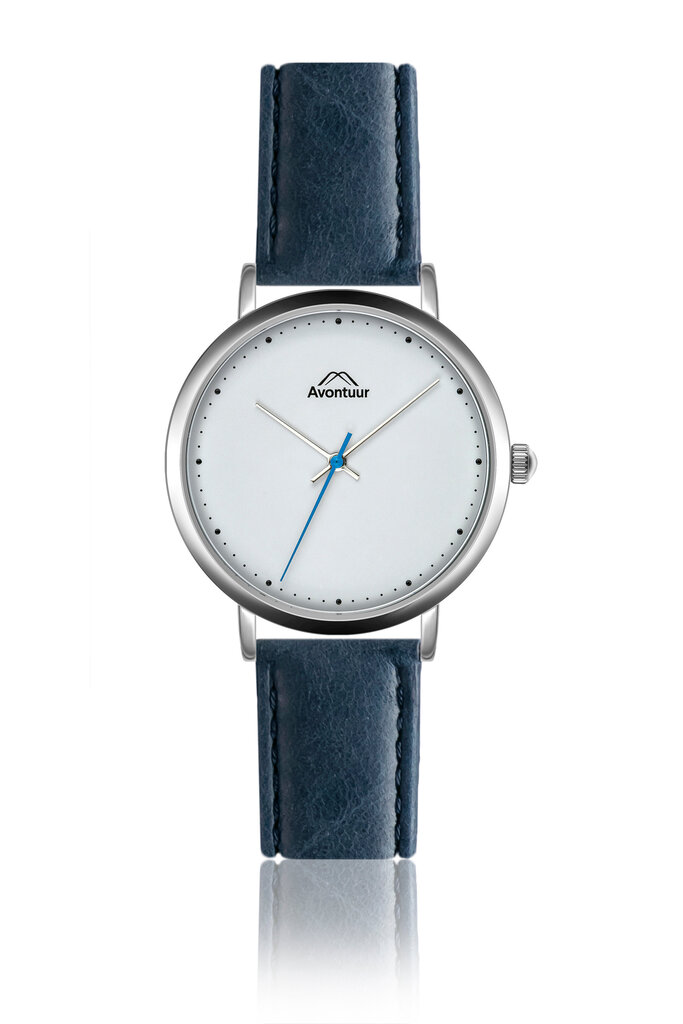 Vyriškas laikrodis Avontuur 10E3-MB18 цена и информация | Vyriški laikrodžiai | pigu.lt