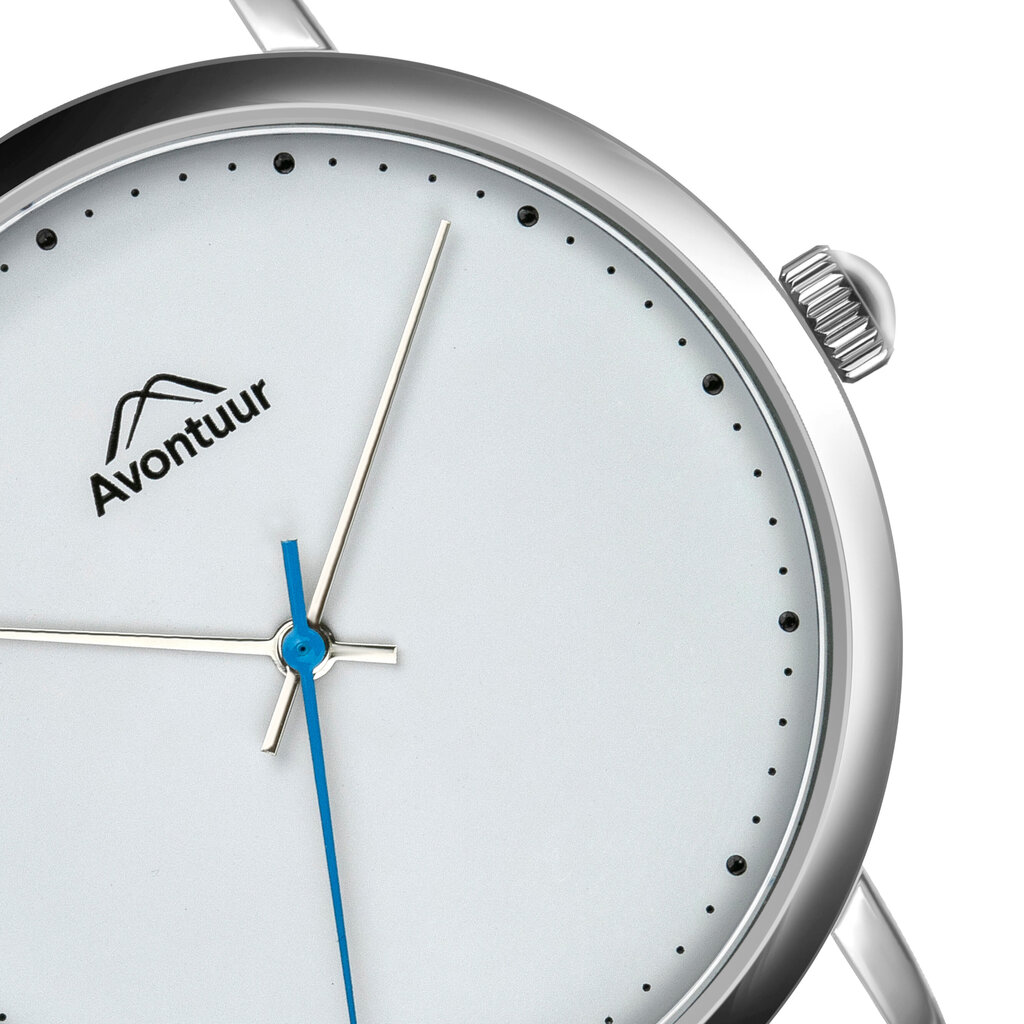 Vyriškas laikrodis Avontuur 10E3-S18 kaina ir informacija | Vyriški laikrodžiai | pigu.lt