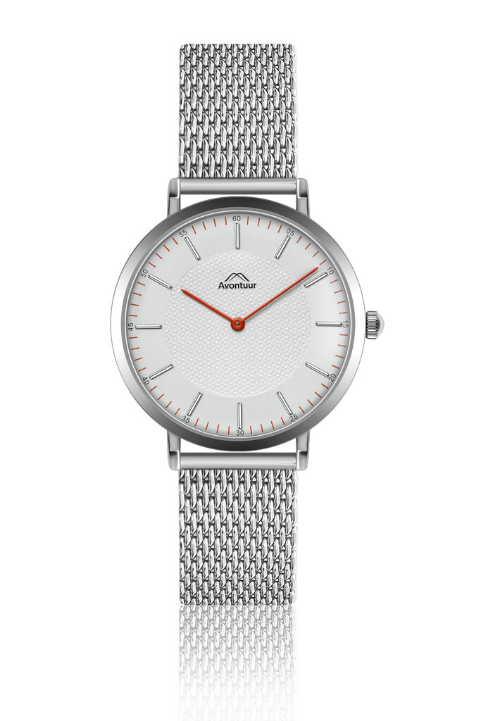 Vyriškas laikrodis Avontuur 10F1-SS18 kaina ir informacija | Vyriški laikrodžiai | pigu.lt