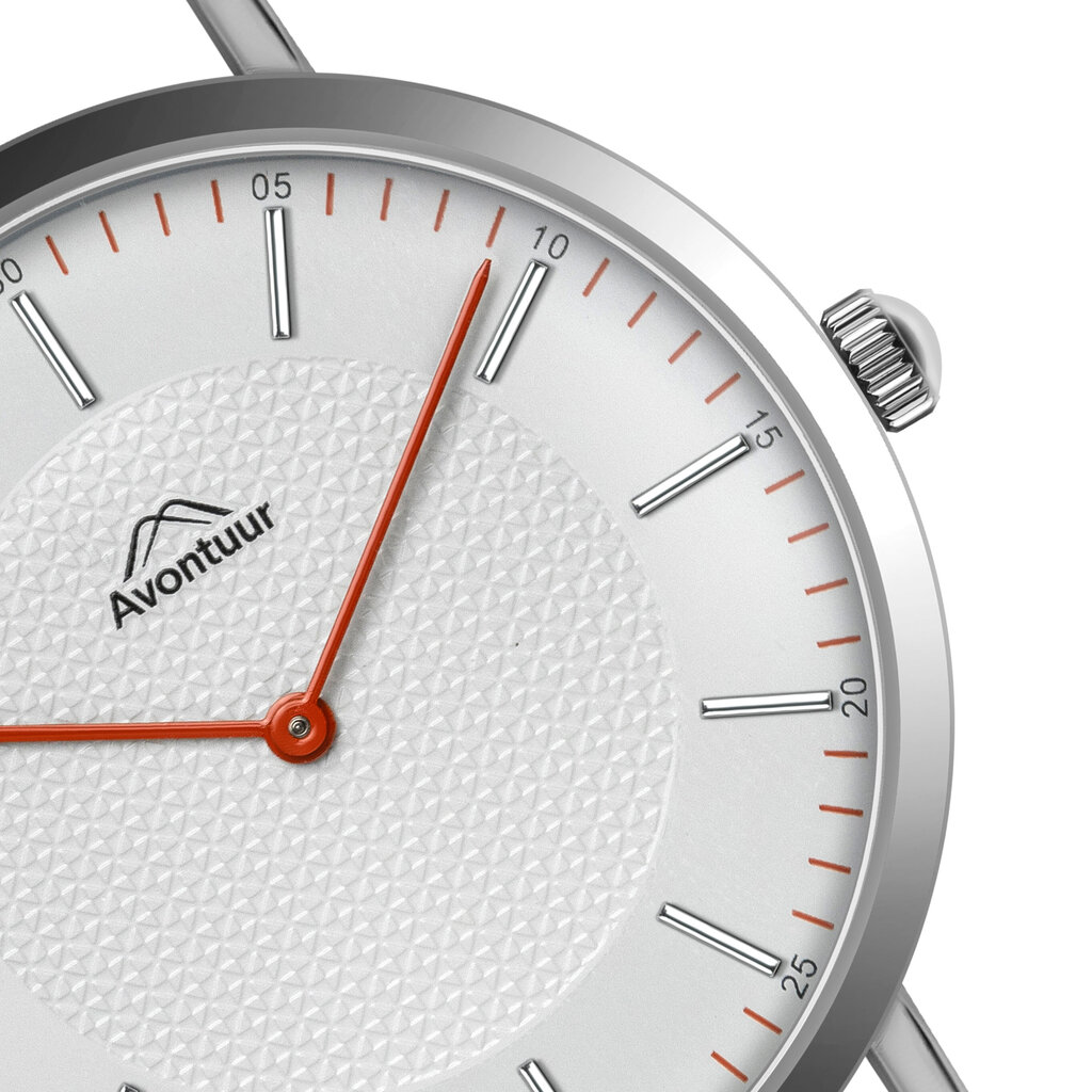 Vyriškas laikrodis Avontuur 10F1-S18 kaina ir informacija | Vyriški laikrodžiai | pigu.lt