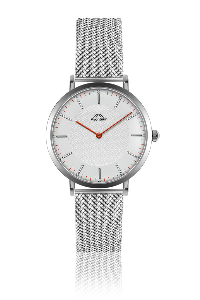 Vyriškas laikrodis Avontuur 10F1-S18 цена и информация | Vyriški laikrodžiai | pigu.lt