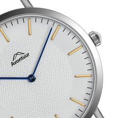 Мужские часы Avontuur 10F2-S18 цена и информация | Мужские часы | pigu.lt