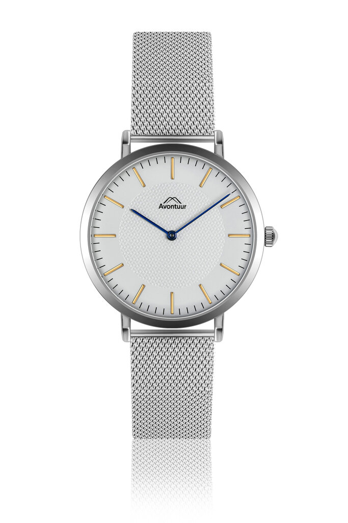 Vyriškas laikrodis Avontuur 10F2-S18 kaina ir informacija | Vyriški laikrodžiai | pigu.lt