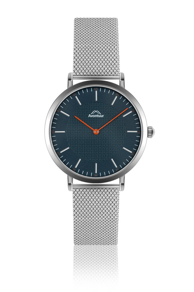 Vyriškas laikrodis Avontuur 10F3-S18 цена и информация | Vyriški laikrodžiai | pigu.lt