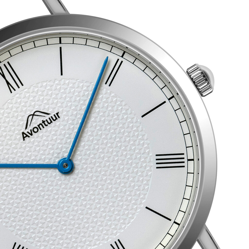 Vyriškas laikrodis Avontuur 10G2-S18 kaina ir informacija | Vyriški laikrodžiai | pigu.lt