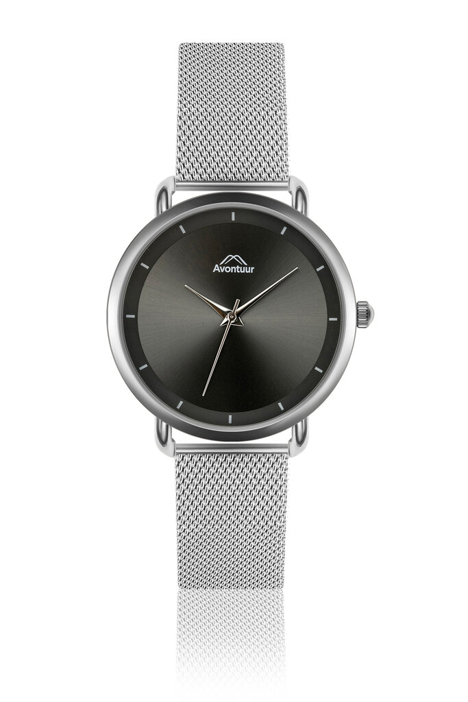 Vyriškas laikrodis Avontuur 10Y1-S18 kaina ir informacija | Vyriški laikrodžiai | pigu.lt