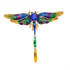 Брошь Colorful dragonfly цена и информация | Броши | pigu.lt