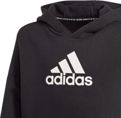 Свитер детский Adidas JR Badge, черный цена и информация | Свитеры, жилетки, пиджаки для мальчиков | pigu.lt