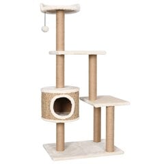 Draskyklė katėms su stovu, 123cm, kaina ir informacija | Draskyklės | pigu.lt