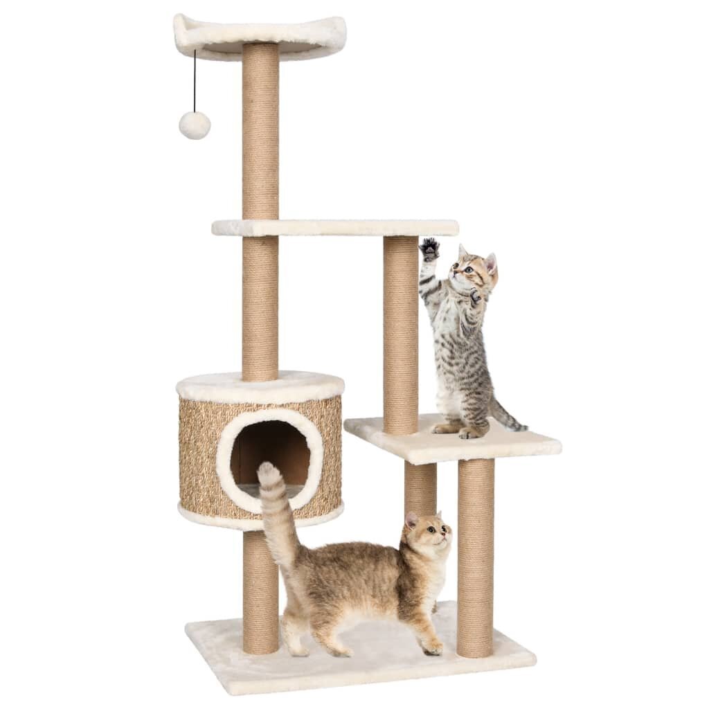 Draskyklė katėms su stovu, 123cm,, Кремовый цвет цена | pigu.lt