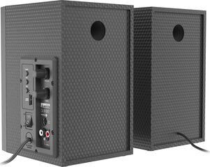 Genesis HELIUM 300BT ARGB цена и информация | Аудиоколонки | pigu.lt