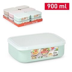 Indų rinkinys pietums Bento 900 ml Surt Vrm Combi kaina ir informacija | Maisto saugojimo  indai | pigu.lt