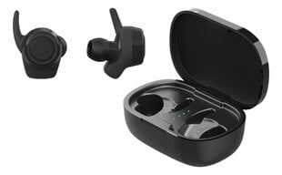Наушники Streetz True Wireless Bluetooth 5 Black TWS-112 цена и информация | Теплая повязка на уши, черная | pigu.lt