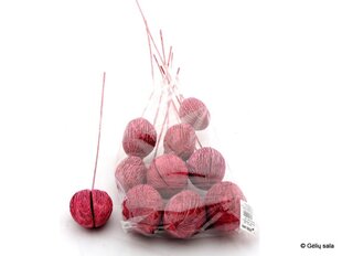 Засушенные "Mintola ball" цена и информация | Принадлежности для флористики | pigu.lt