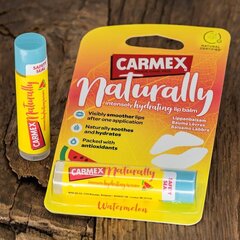 Бальзам для губ Carmex Naturally Watermelon, 4,25 г цена и информация | Помады, бальзамы, блеск для губ | pigu.lt