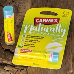 Lūpų balzamas Carmex Naturally Pear, 4.25 g kaina ir informacija | Lūpų dažai, blizgiai, balzamai, vazelinai | pigu.lt