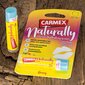 Lūpų balzamas Carmex Naturally Berry, 4.25 g kaina ir informacija | Lūpų dažai, blizgiai, balzamai, vazelinai | pigu.lt