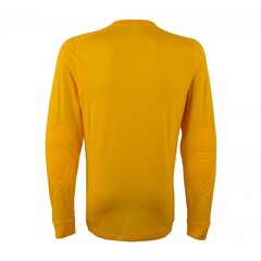 Vartininko marškinėliai vyrams Nike Goalkeeper Park Goalie II 588418-739, geltoni kaina ir informacija | Futbolo apranga ir kitos prekės | pigu.lt