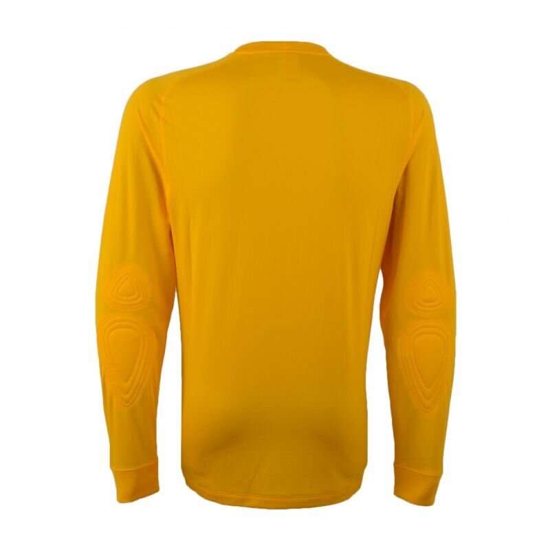 Vartininko marškinėliai vyrams Nike Goalkeeper Park Goalie II 588418-739, geltoni kaina ir informacija | Futbolo apranga ir kitos prekės | pigu.lt