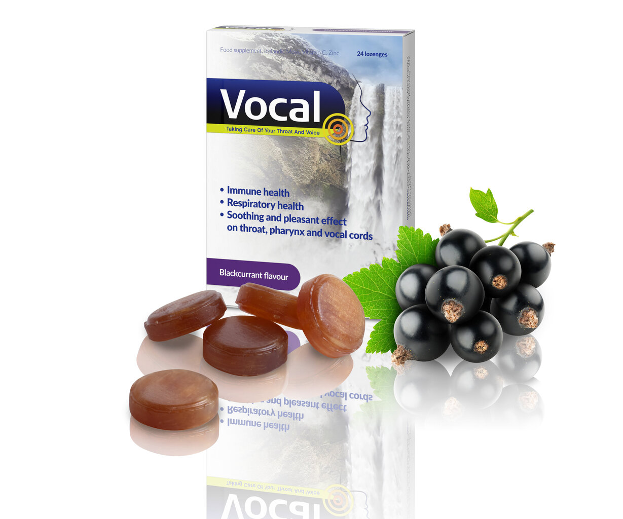 Maisto papildas Vocal Hard Caramel, 24 pastilės цена и информация | Vitaminai, maisto papildai, preparatai gerai savijautai | pigu.lt