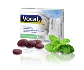 Сосательные пастилки со вкусом мяты VOCAL, 24 шт. цена и информация | Витамины, пищевые добавки, препараты для хорошего самочувствия | pigu.lt