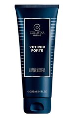 Dušo želė-šampūnas vyrams Collistar Vetiver Forte 250 ml kaina ir informacija | Dušo želė, aliejai | pigu.lt