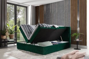 Lova NORE Meron 09, 160x200 cm, žalia kaina ir informacija | Lovos | pigu.lt