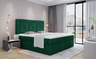 Кровать NORE Idris 11, 160x200 см, зеленая цена и информация | Кровати | pigu.lt