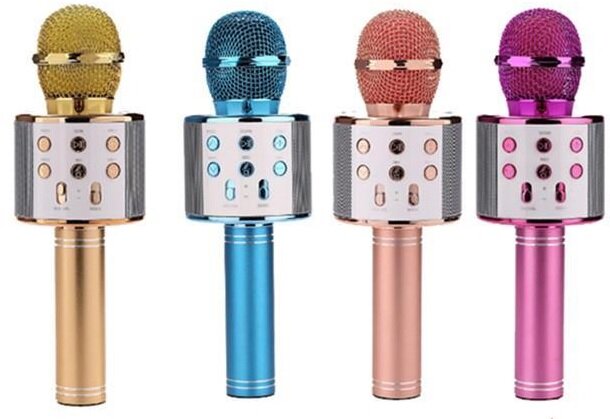 Vaikiškas Mikrofonas WS585 kaina | pigu.lt