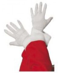 Перчатки Санта-Клауса цена и информация | Карнавальные костюмы | pigu.lt