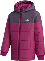 Куртка Adidas  Yk J Padding Purple цена и информация | Куртки, пальто для девочек | pigu.lt