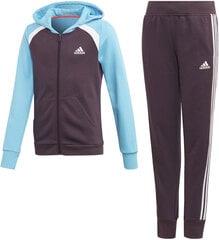 Cпортивный костюм Adidas G Hood Cot Ts1 Purple Blue цена и информация | Комплекты для девочек | pigu.lt