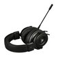 L33T Gaming VIKING Huginn 160375 kaina ir informacija | Ausinės | pigu.lt