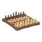 Šachmatų ir šaškių žaidimų lenta Cayro Magnetinis (24 X 24 cm) kaina ir informacija | Stalo žaidimai, galvosūkiai | pigu.lt