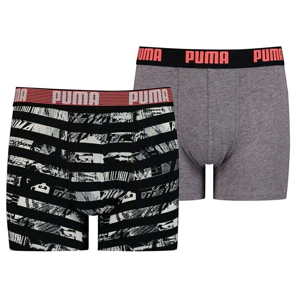 Apatinės kelnaitės Puma Collage Stripe, pilkos kaina ir informacija | Apatiniai drabužiai berniukams | pigu.lt
