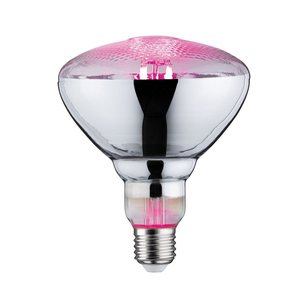 LED augalinės lempos PAR38 E27 6.5W цена и информация | Elektros lemputės | pigu.lt