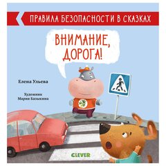 Внимание, дорога! цена и информация | Книги для детей | pigu.lt