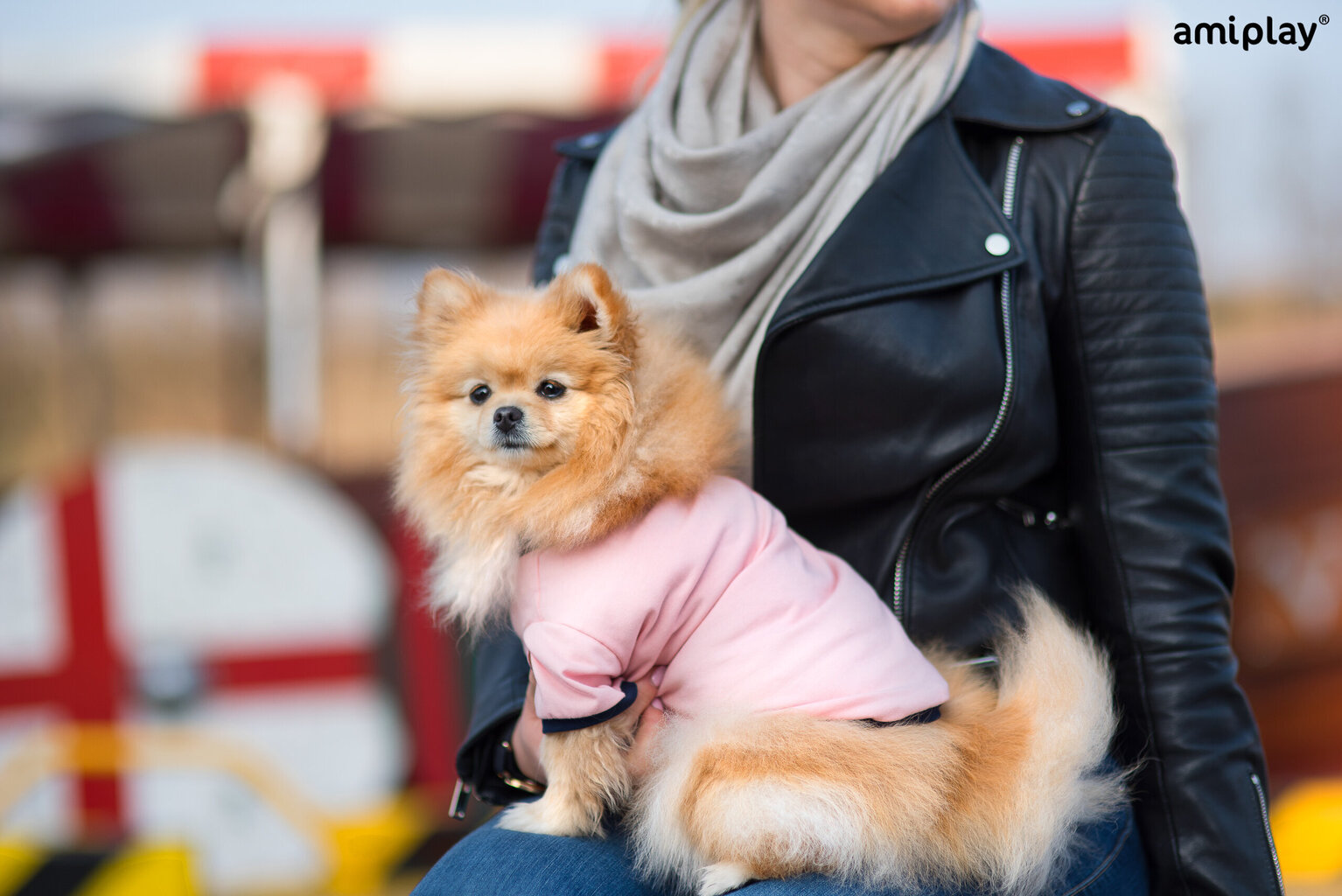 Amiplay marškinėliai šunims Miami, S, rožiniai kaina ir informacija | Drabužiai šunims | pigu.lt
