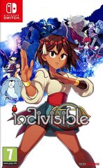 SWITCH Indivisible цена и информация | Компьютерные игры | pigu.lt