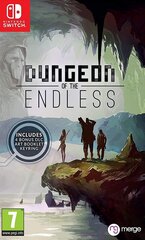 SWITCH Dungeon of the Endless kaina ir informacija | Kompiuteriniai žaidimai | pigu.lt