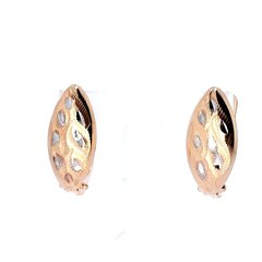 Auksiniai auskarai moterims kaina ir informacija | Auskarai | pigu.lt