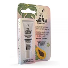 Lūpų balzamas blizgis Dr Pawpaw Shimmer, 10 ml kaina ir informacija | Lūpų dažai, blizgiai, balzamai, vazelinai | pigu.lt