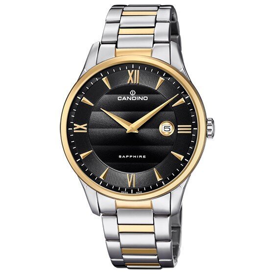 Laikrodis vyrams Candino, sidabrinis C4639/4 kaina ir informacija | Vyriški laikrodžiai | pigu.lt
