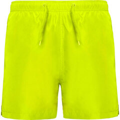 Мужские шорты для купания, желтые цена и информация | Плавки, плавательные шорты | pigu.lt