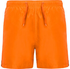 Мужские шорты для купания, оранжевые цена и информация | Плавки, плавательные шорты | pigu.lt