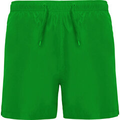 Мужские шорты для купания, зеленые цена и информация | Плавки, плавательные шорты | pigu.lt