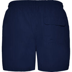 Мужские шорты для купания, синие цена и информация | Плавки, плавательные шорты | pigu.lt