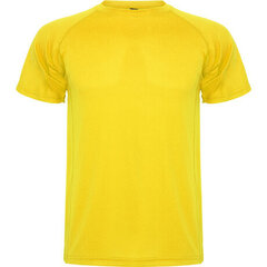 Спортивная рубашка-поло цена и информация | Мужская спортивная одежда | pigu.lt